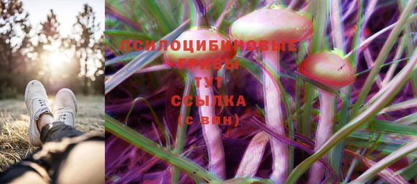 прущая мука Баксан