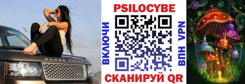 купить наркотик  Дигора  Псилоцибиновые грибы Psilocybe 